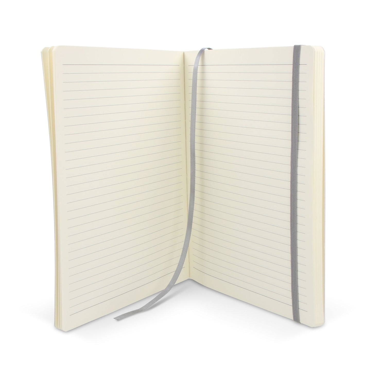 Softcover-Notizbuch Maxi