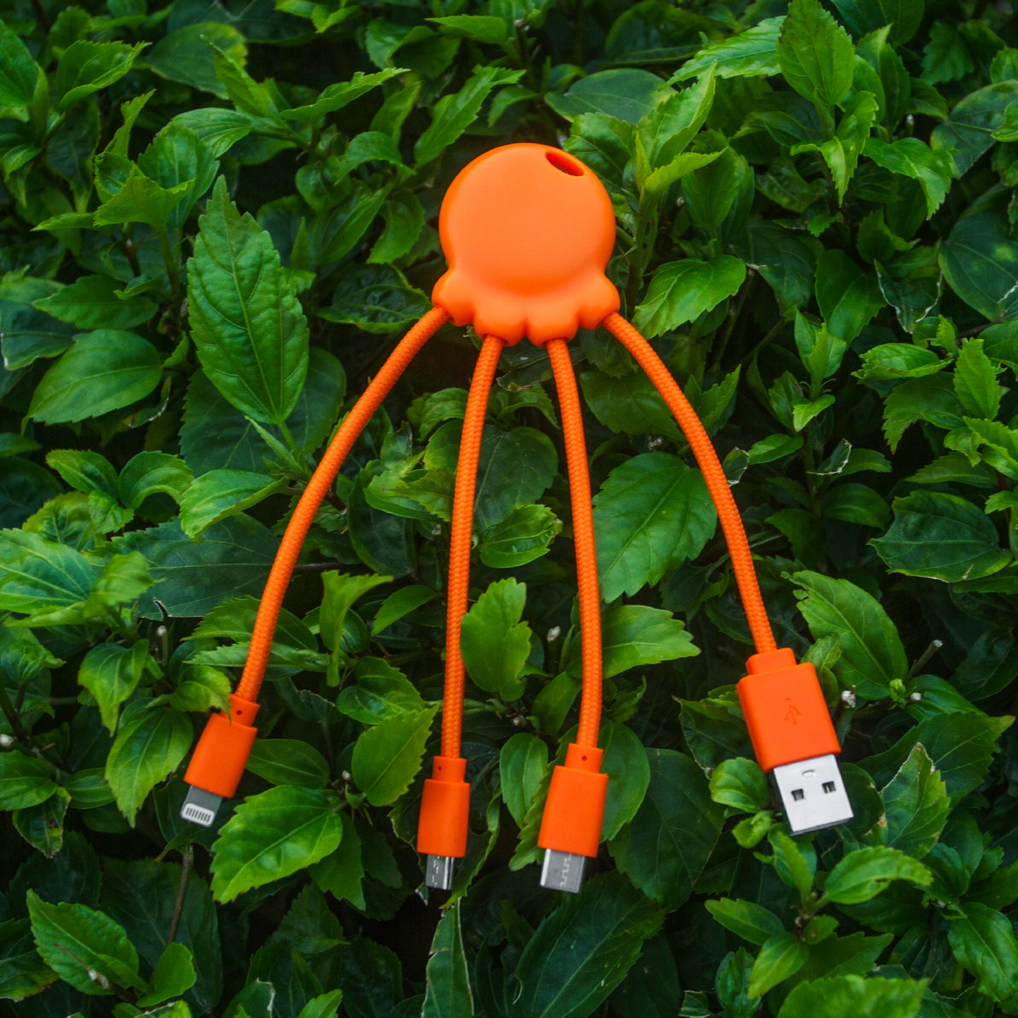 LT 41005  2087 | Xoopar Octopus Charging cable