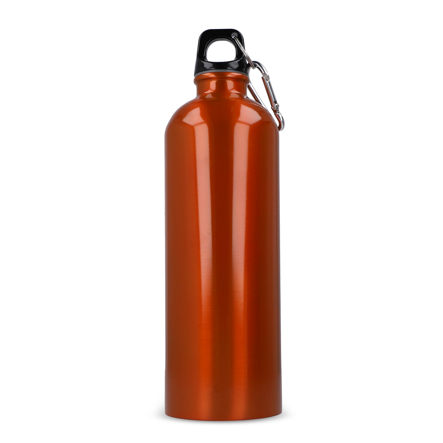 LT98739  R-SS Einwandflasche mit Karabiner 750 ml