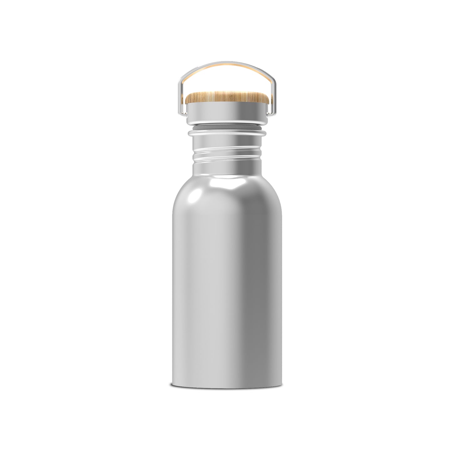 LT98884  Wasserflasche Ashton 500 ml